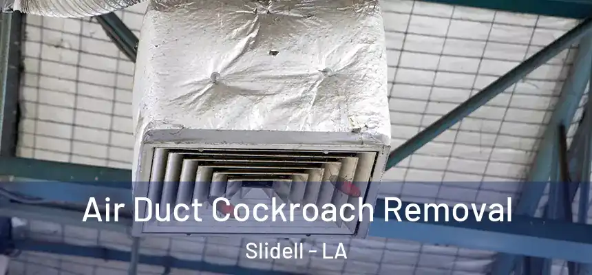 Air Duct Cockroach Removal Slidell - LA