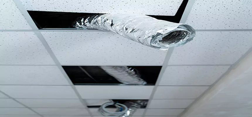 Our Air Duct Pet Hair Removal Services in Slidell, LA