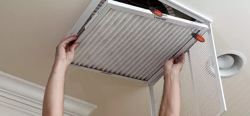Our Insect Removal from Air Ducts Services in Slidell, LA