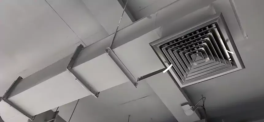 Our Pest Removal From Ducts Services in Slidell, LA