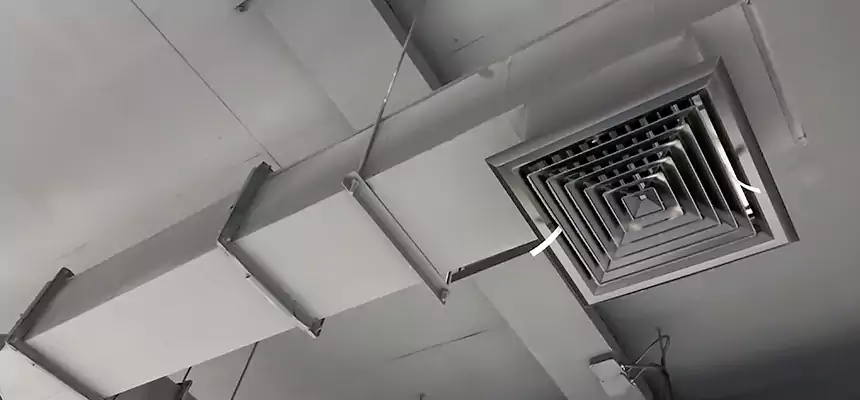 Our Rodent Droppings In Vents Services in Slidell, LA