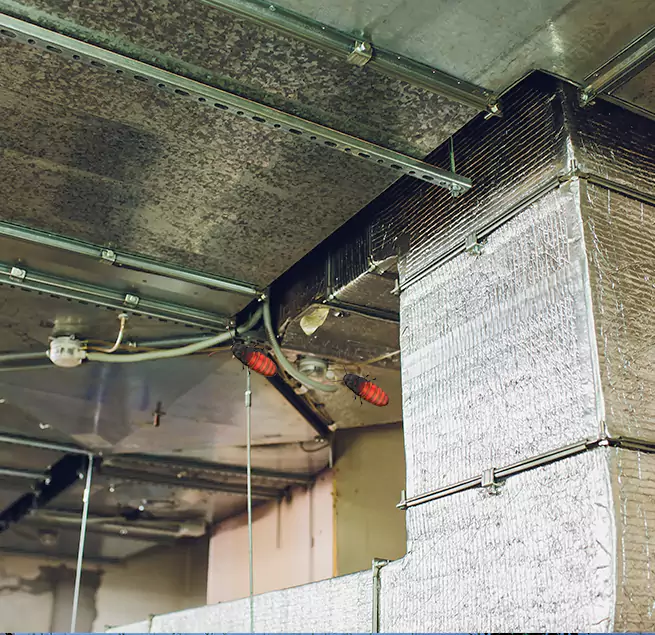 Why Homeowners & Businesses Trust Us in Slidell, LA?